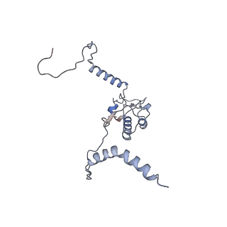 14979_7zux_EK_v1-1
Collided ribosome in a disome unit from S. cerevisiae