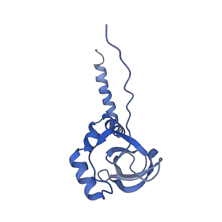 14979_7zux_EL_v1-1
Collided ribosome in a disome unit from S. cerevisiae