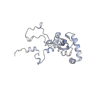 14979_7zux_EM_v1-1
Collided ribosome in a disome unit from S. cerevisiae