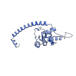 14979_7zux_EN_v1-1
Collided ribosome in a disome unit from S. cerevisiae