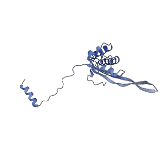 14979_7zux_EO_v1-1
Collided ribosome in a disome unit from S. cerevisiae