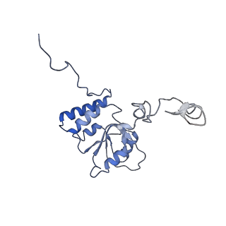 14979_7zux_EP_v1-1
Collided ribosome in a disome unit from S. cerevisiae