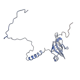 14979_7zux_ES_v1-1
Collided ribosome in a disome unit from S. cerevisiae