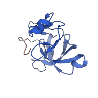 14979_7zux_EU_v1-1
Collided ribosome in a disome unit from S. cerevisiae