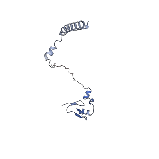 14979_7zux_EV_v1-1
Collided ribosome in a disome unit from S. cerevisiae