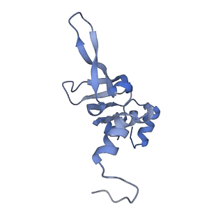 14979_7zux_EX_v1-1
Collided ribosome in a disome unit from S. cerevisiae