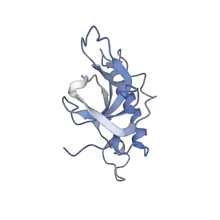 14979_7zux_EY_v1-1
Collided ribosome in a disome unit from S. cerevisiae