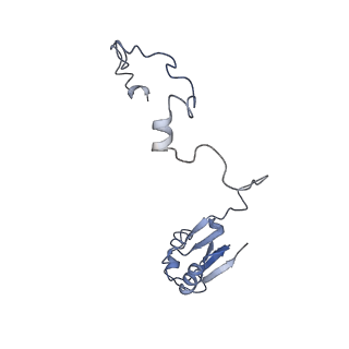 14979_7zux_EZ_v1-1
Collided ribosome in a disome unit from S. cerevisiae
