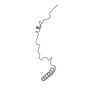 14979_7zux_Ea_v1-1
Collided ribosome in a disome unit from S. cerevisiae