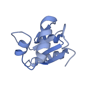 14979_7zux_Eb_v1-1
Collided ribosome in a disome unit from S. cerevisiae