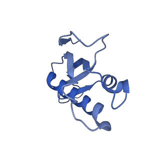 14979_7zux_Ec_v1-1
Collided ribosome in a disome unit from S. cerevisiae