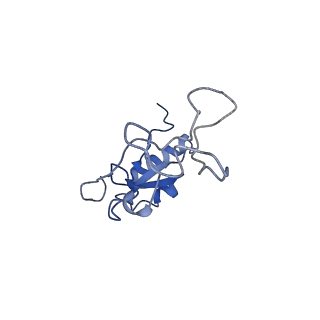 14979_7zux_Ed_v1-1
Collided ribosome in a disome unit from S. cerevisiae
