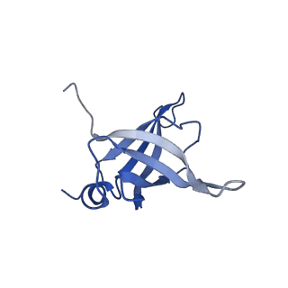 14979_7zux_Ee_v1-1
Collided ribosome in a disome unit from S. cerevisiae