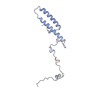 14979_7zux_Eg_v1-1
Collided ribosome in a disome unit from S. cerevisiae