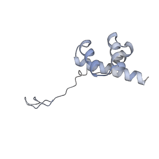 14979_7zux_Eh_v1-1
Collided ribosome in a disome unit from S. cerevisiae