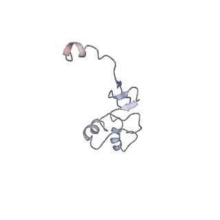14979_7zux_Ei_v1-1
Collided ribosome in a disome unit from S. cerevisiae