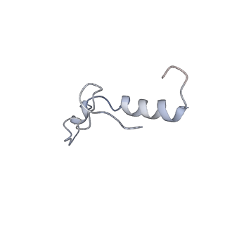 14979_7zux_Ek_v1-1
Collided ribosome in a disome unit from S. cerevisiae