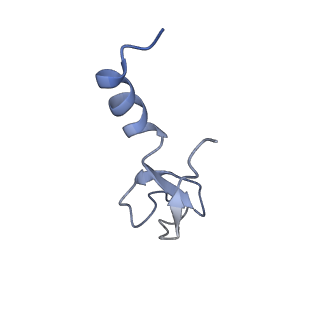 14979_7zux_El_v1-1
Collided ribosome in a disome unit from S. cerevisiae