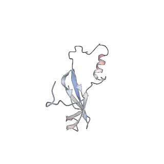 14979_7zux_En_v1-1
Collided ribosome in a disome unit from S. cerevisiae