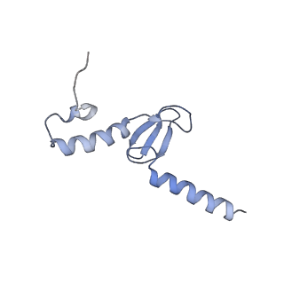 14979_7zux_Eo_v1-1
Collided ribosome in a disome unit from S. cerevisiae