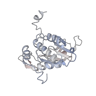11441_6zv6_A_v1-0
Human RIO1(kd)-StHA late pre-40S particle, structural state B (post 18S rRNA cleavage)