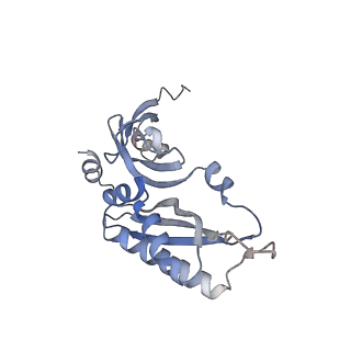11441_6zv6_B_v1-0
Human RIO1(kd)-StHA late pre-40S particle, structural state B (post 18S rRNA cleavage)