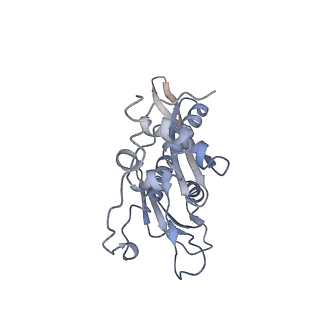 11441_6zv6_C_v1-0
Human RIO1(kd)-StHA late pre-40S particle, structural state B (post 18S rRNA cleavage)
