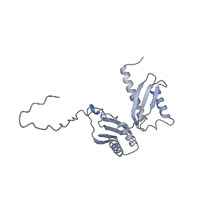 11441_6zv6_D_v1-0
Human RIO1(kd)-StHA late pre-40S particle, structural state B (post 18S rRNA cleavage)