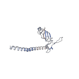 11441_6zv6_G_v1-0
Human RIO1(kd)-StHA late pre-40S particle, structural state B (post 18S rRNA cleavage)