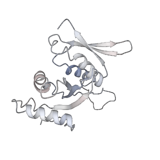 11441_6zv6_H_v1-0
Human RIO1(kd)-StHA late pre-40S particle, structural state B (post 18S rRNA cleavage)