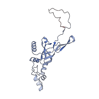 11441_6zv6_I_v1-0
Human RIO1(kd)-StHA late pre-40S particle, structural state B (post 18S rRNA cleavage)