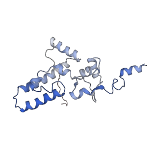 11441_6zv6_J_v1-0
Human RIO1(kd)-StHA late pre-40S particle, structural state B (post 18S rRNA cleavage)