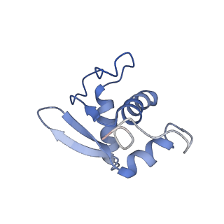 11441_6zv6_K_v1-0
Human RIO1(kd)-StHA late pre-40S particle, structural state B (post 18S rRNA cleavage)