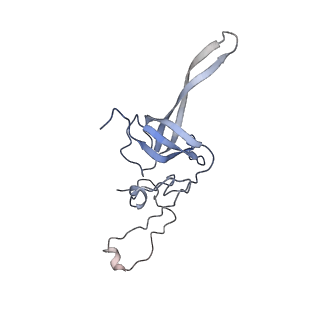 11441_6zv6_L_v1-0
Human RIO1(kd)-StHA late pre-40S particle, structural state B (post 18S rRNA cleavage)