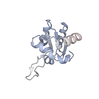 11441_6zv6_M_v1-0
Human RIO1(kd)-StHA late pre-40S particle, structural state B (post 18S rRNA cleavage)