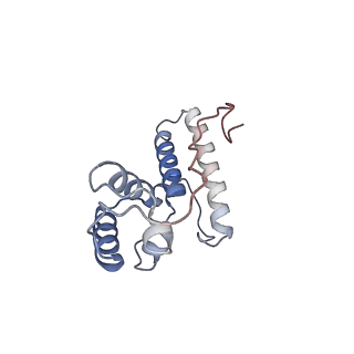 11441_6zv6_N_v1-0
Human RIO1(kd)-StHA late pre-40S particle, structural state B (post 18S rRNA cleavage)