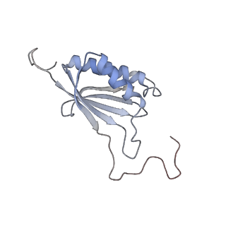 11441_6zv6_O_v1-0
Human RIO1(kd)-StHA late pre-40S particle, structural state B (post 18S rRNA cleavage)