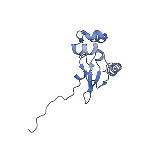 11441_6zv6_P_v1-0
Human RIO1(kd)-StHA late pre-40S particle, structural state B (post 18S rRNA cleavage)