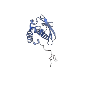 11441_6zv6_Q_v1-0
Human RIO1(kd)-StHA late pre-40S particle, structural state B (post 18S rRNA cleavage)