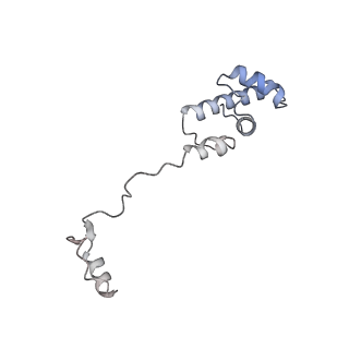 11441_6zv6_R_v1-0
Human RIO1(kd)-StHA late pre-40S particle, structural state B (post 18S rRNA cleavage)