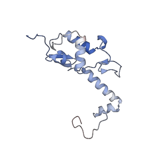 11441_6zv6_S_v1-0
Human RIO1(kd)-StHA late pre-40S particle, structural state B (post 18S rRNA cleavage)