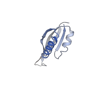 11441_6zv6_U_v1-0
Human RIO1(kd)-StHA late pre-40S particle, structural state B (post 18S rRNA cleavage)
