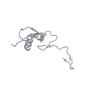 11441_6zv6_V_v1-0
Human RIO1(kd)-StHA late pre-40S particle, structural state B (post 18S rRNA cleavage)