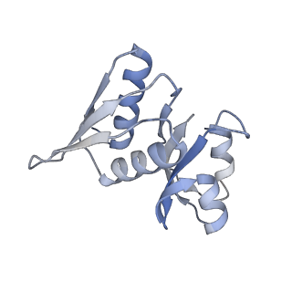11441_6zv6_W_v1-0
Human RIO1(kd)-StHA late pre-40S particle, structural state B (post 18S rRNA cleavage)