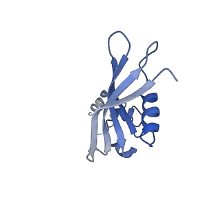 11441_6zv6_Y_v1-0
Human RIO1(kd)-StHA late pre-40S particle, structural state B (post 18S rRNA cleavage)