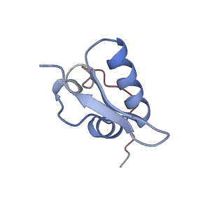 11441_6zv6_Z_v1-0
Human RIO1(kd)-StHA late pre-40S particle, structural state B (post 18S rRNA cleavage)