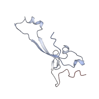 11441_6zv6_a_v1-0
Human RIO1(kd)-StHA late pre-40S particle, structural state B (post 18S rRNA cleavage)