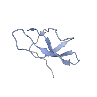 11441_6zv6_c_v1-0
Human RIO1(kd)-StHA late pre-40S particle, structural state B (post 18S rRNA cleavage)