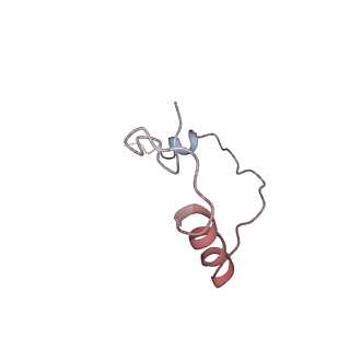 11441_6zv6_e_v1-0
Human RIO1(kd)-StHA late pre-40S particle, structural state B (post 18S rRNA cleavage)