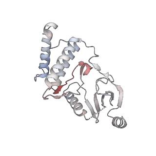 11441_6zv6_h_v1-0
Human RIO1(kd)-StHA late pre-40S particle, structural state B (post 18S rRNA cleavage)